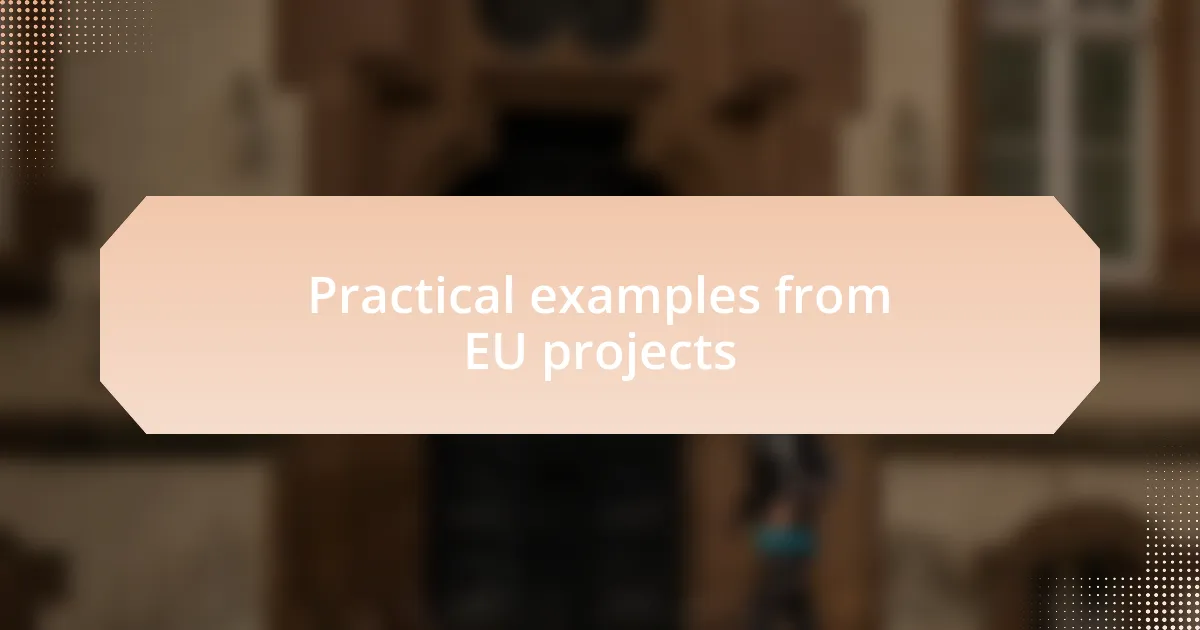 Practical examples from EU projects