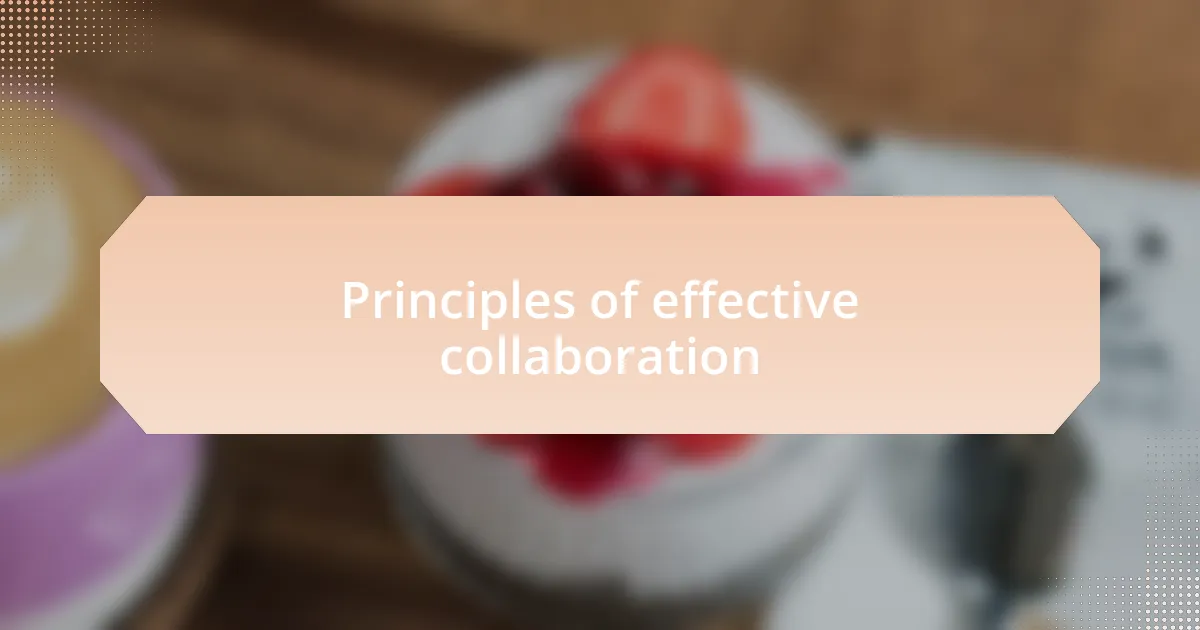 Principles of effective collaboration