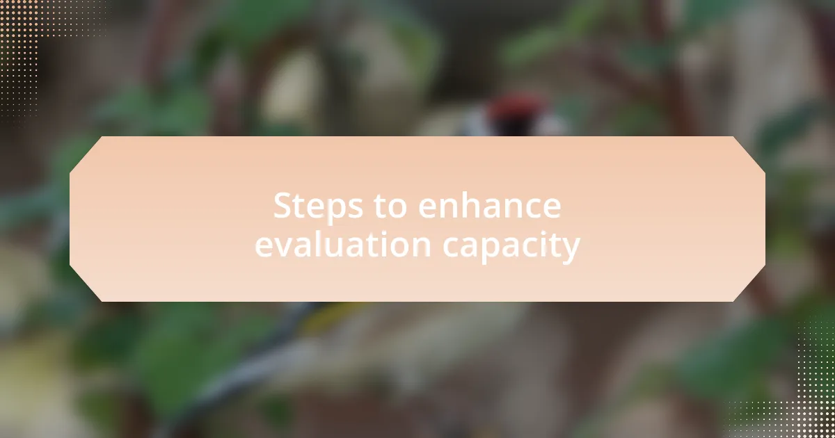 Steps to enhance evaluation capacity