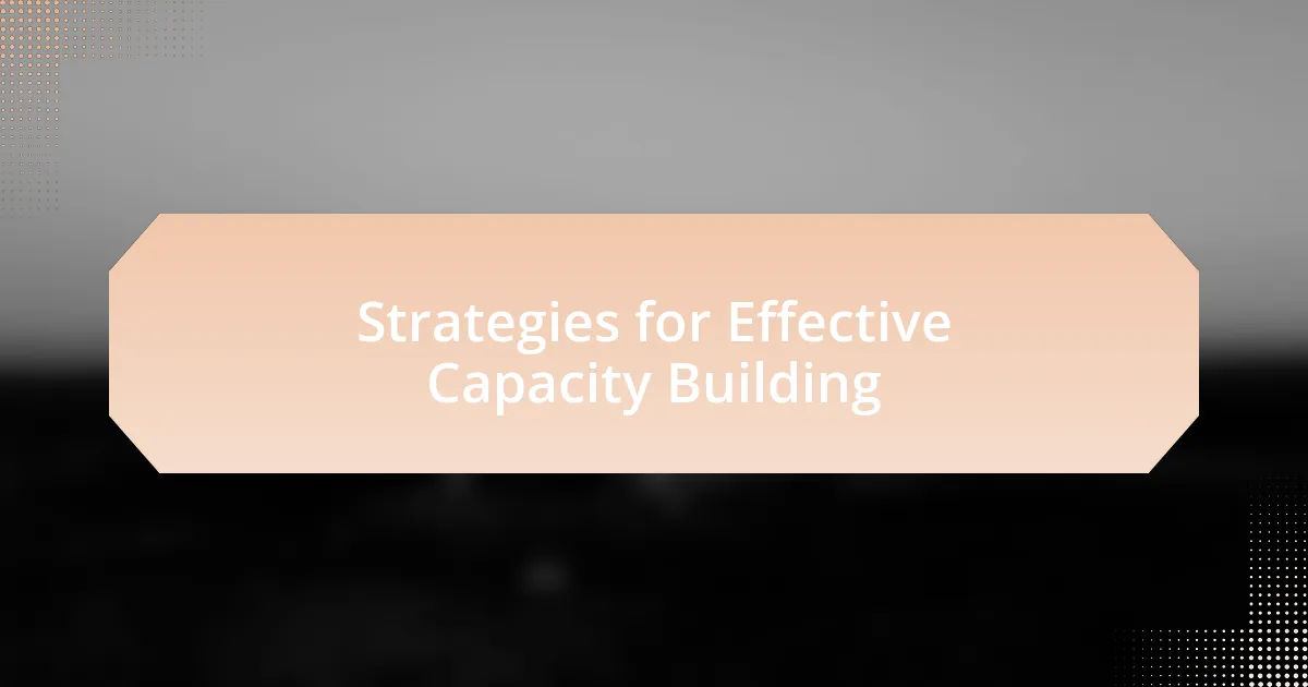Strategies for Effective Capacity Building