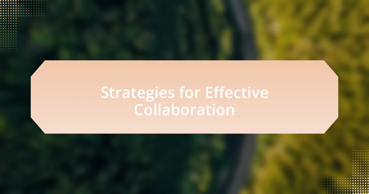 Strategies for Effective Collaboration