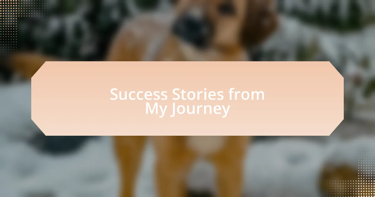 Success Stories from My Journey