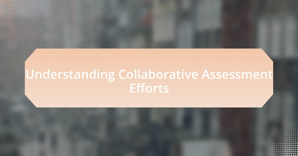 Understanding Collaborative Assessment Efforts