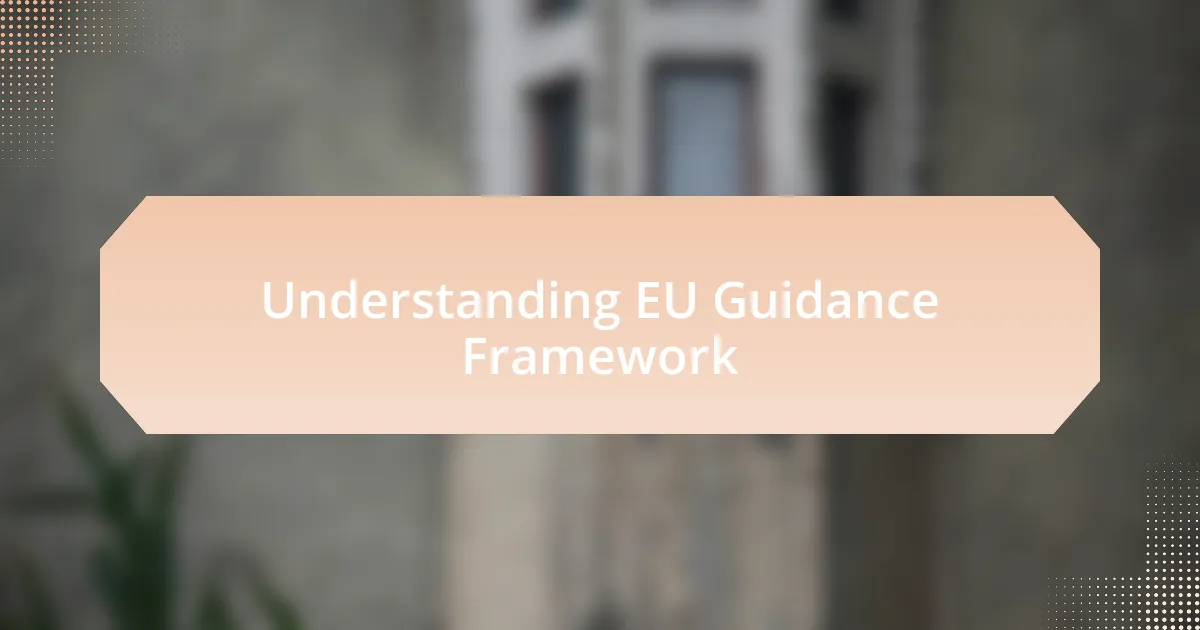 Understanding EU Guidance Framework