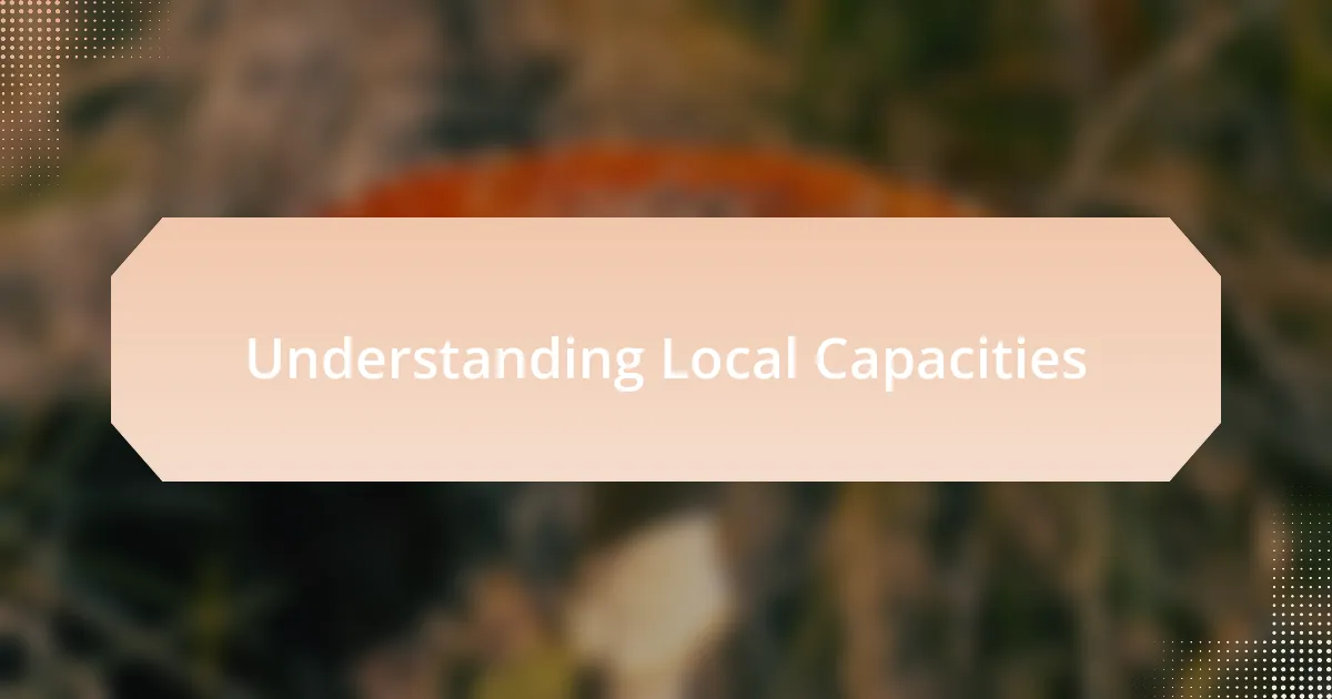 Understanding Local Capacities