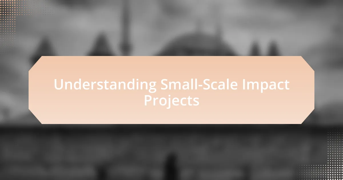 Understanding Small-Scale Impact Projects