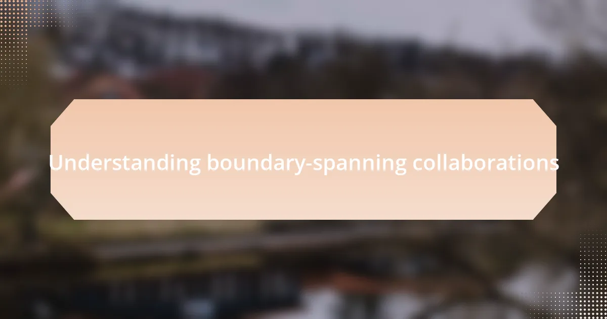 Understanding boundary-spanning collaborations