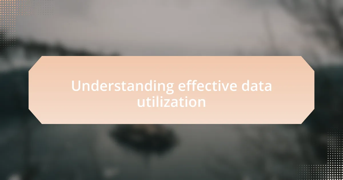 Understanding effective data utilization