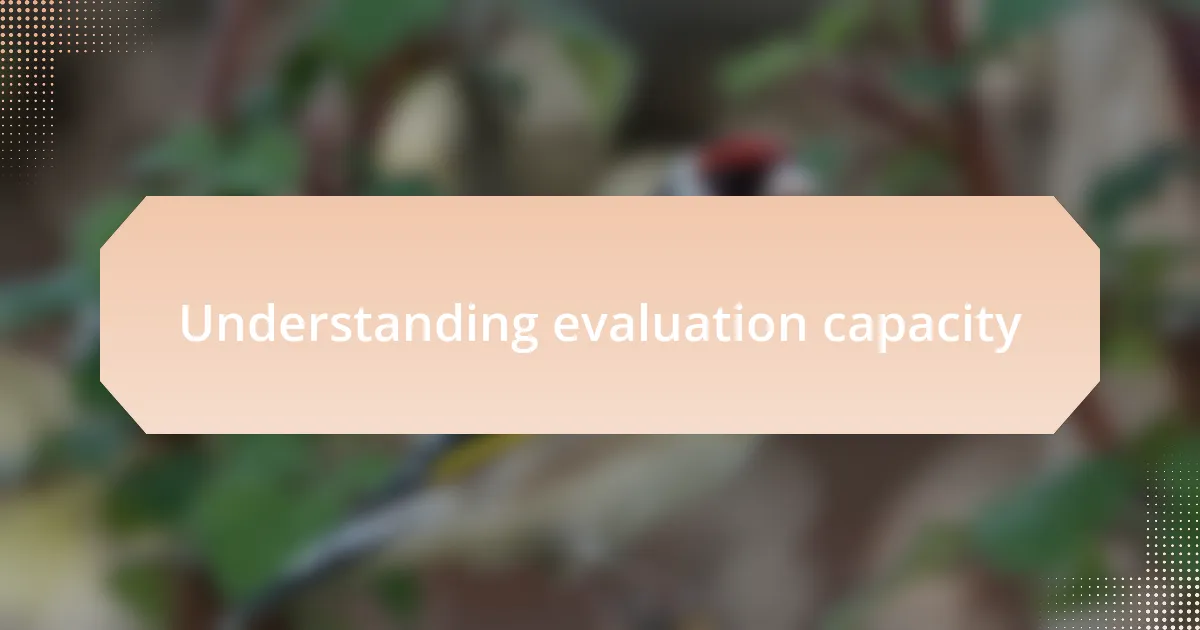 Understanding evaluation capacity