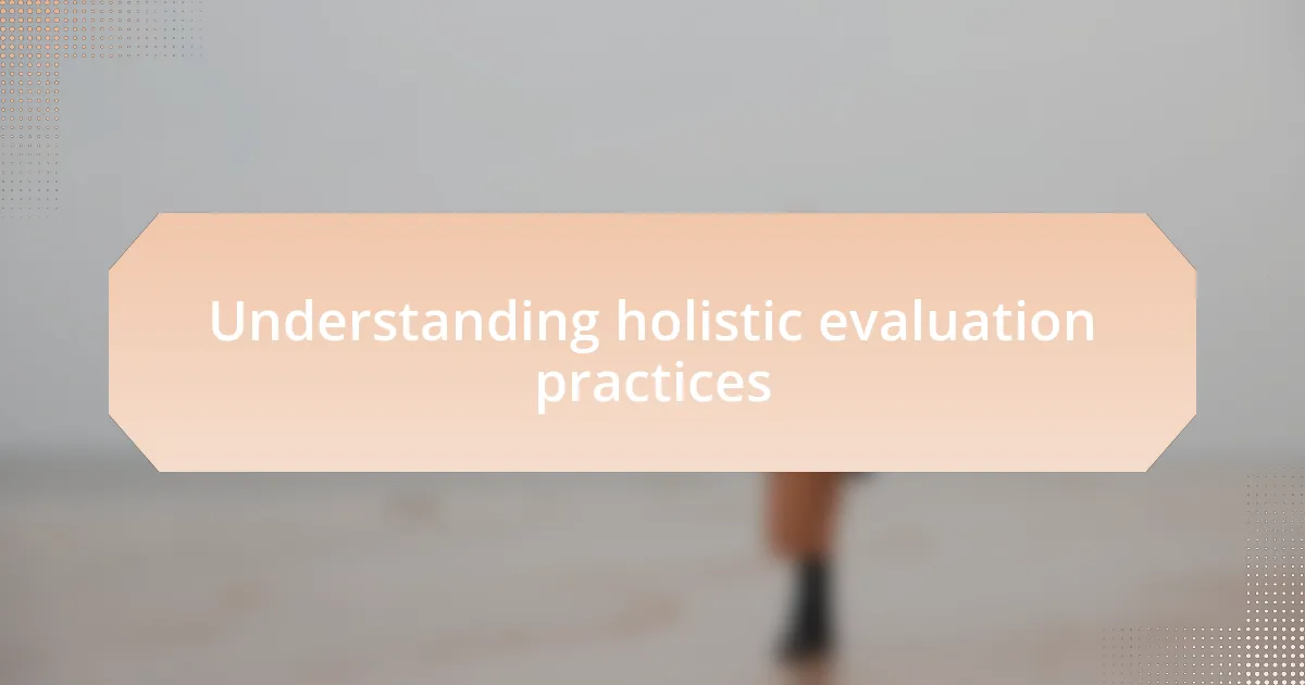 Understanding holistic evaluation practices