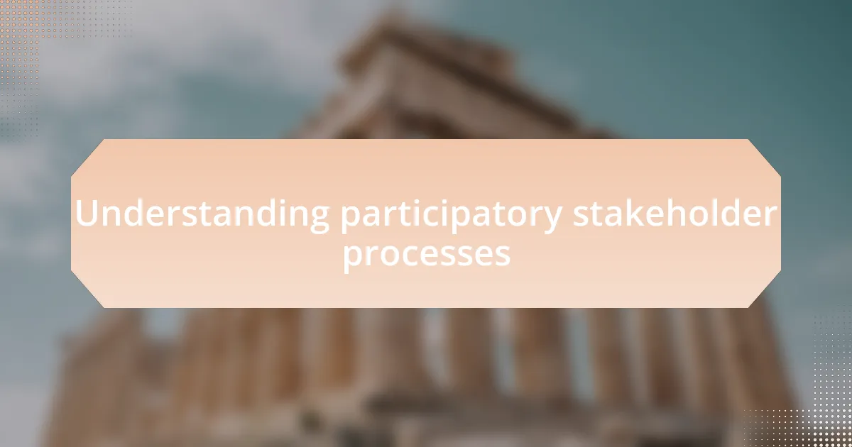 Understanding participatory stakeholder processes