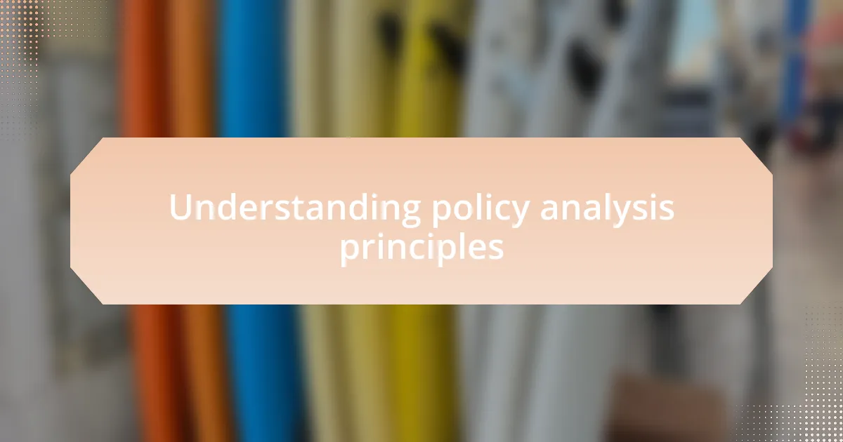 Understanding policy analysis principles