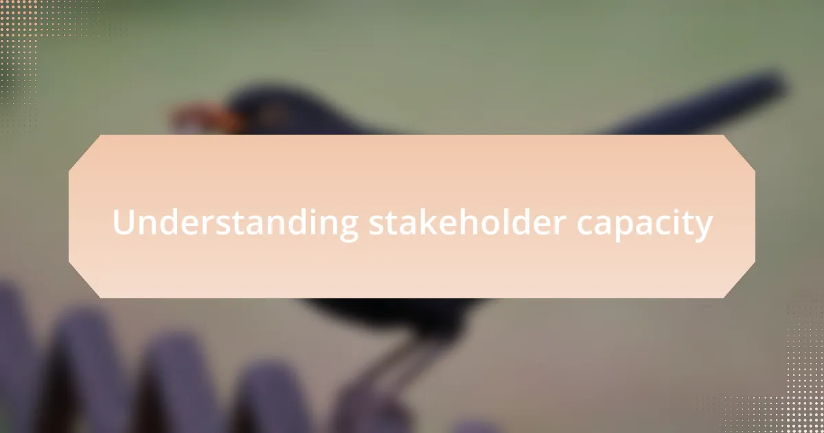 Understanding stakeholder capacity
