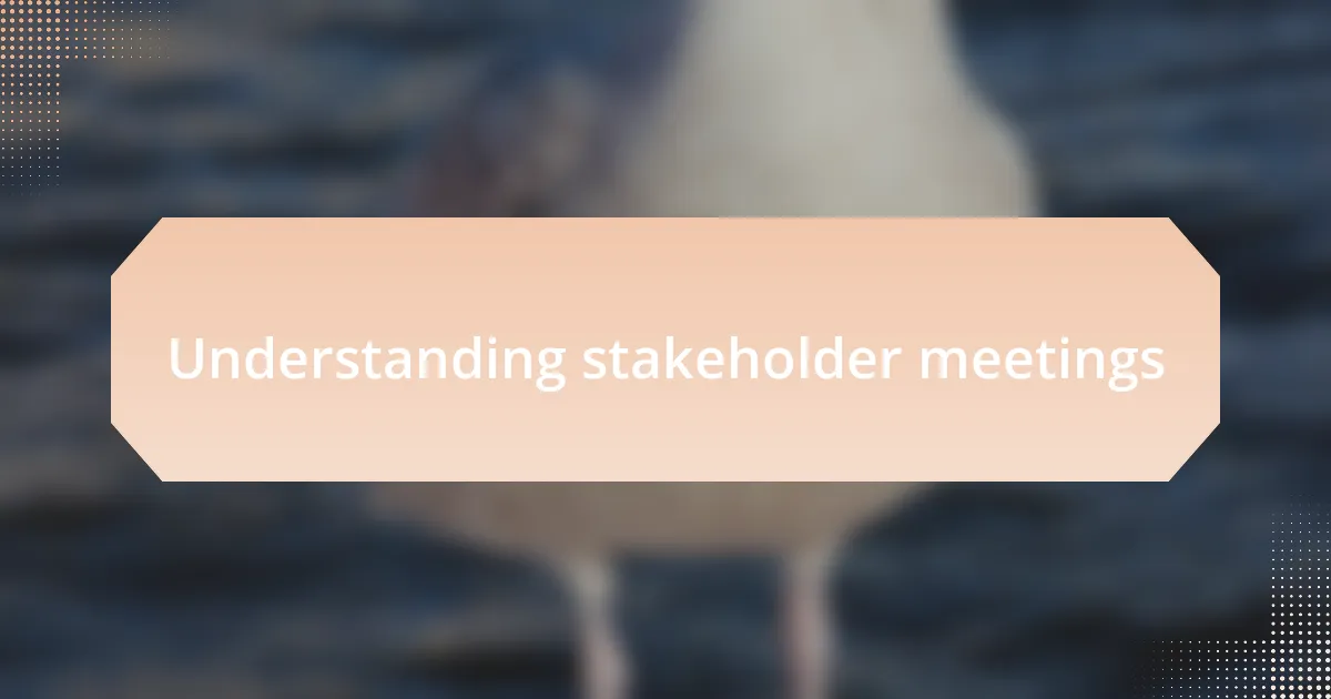 Understanding stakeholder meetings