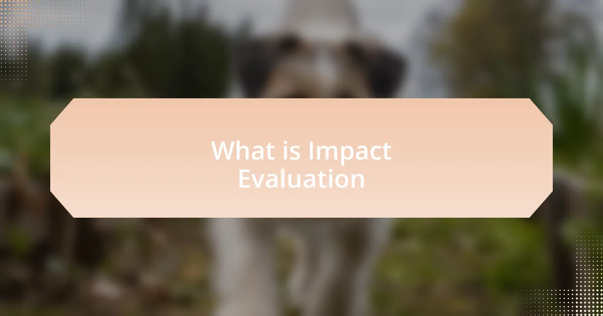What is Impact Evaluation